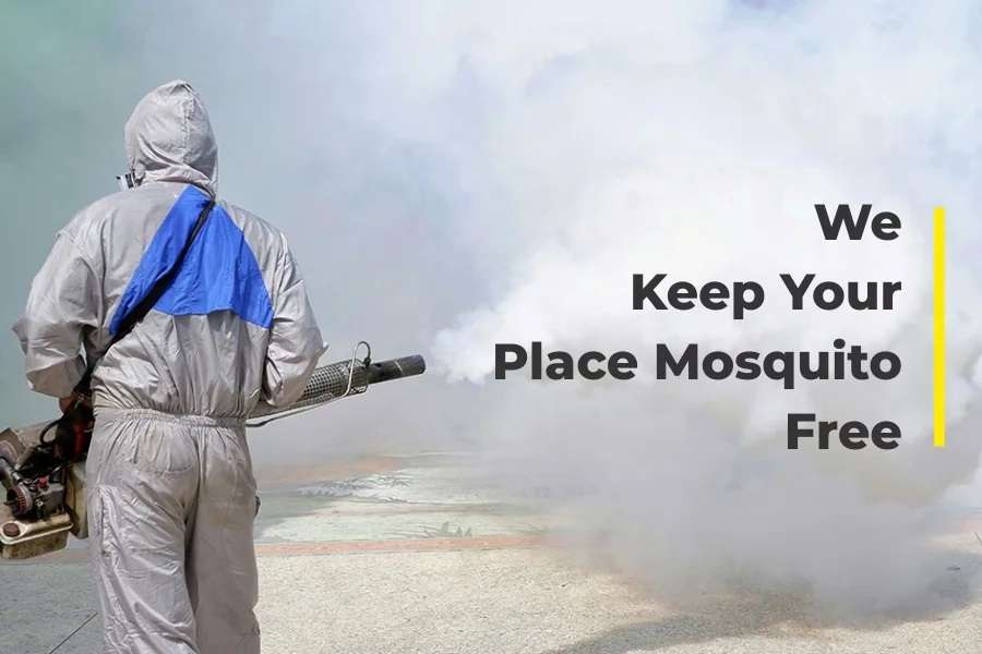 Hire the top Mosquito Pest Control In Dubai