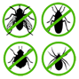 Cheap Pest Control Dubai